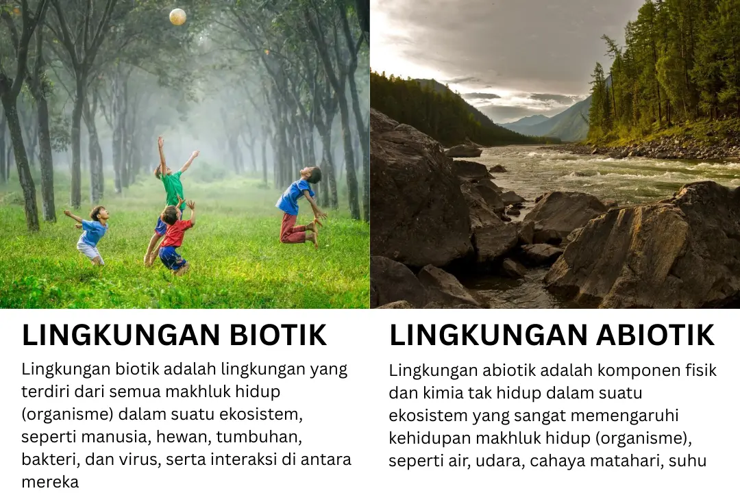 Infografis Lingkungan Biotik dan Abiotik