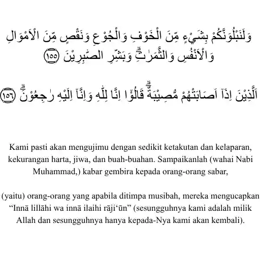 QS Al Baqarah 155-156